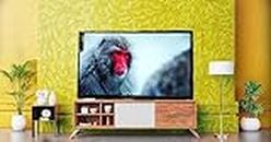 Ego tel (24 inches) HD Ready Smart A+ LED TV Warranty —2 Years.