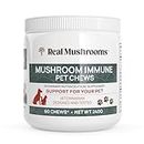 Mushroom Immune Support Pet Chews (60ct) Treats for Dogs – Immune Booster Supplements for Pets with Ashwagandha, Astragalus, Blueberry, Olive Leaf, Acerola &Gut Health for Dogs and Cats