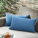 puredown® Outdoor Water Resistant Throw Pillows, Feathers and Down Filled Decorative Pillows for Couch Cushion Garden Bench 12 x 20 Inch, Set of 2, Blue