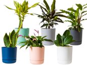  Plant Pots Indoor Garden Home Planter With Saucers Decor Plastic Matte Finish 