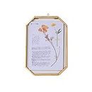 NCYP Wall Hanging 5X7 inches Long Octagon Herbarium Brass Glass Frame for Pressed Flowers, Dried Flowers, Poster, Double Glass, Floating Frame Style, Glass Frame only