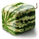 1 Pack 50 Pcs Rare Square Watermelon Seeds Healthy Fruit Home Garden Plant S128