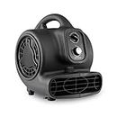 XPower Mighty Air Mover Floor Fan Dryer Utility Blower Outdoor Lawn Fan with External Outlet Plug (Negro, P-250DT)