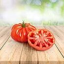 Tomato ''Montserrat'' 25 x Samen aus Portugal 100% Natursamen ohne chemische Anzuchthilfen oder Gentechnik