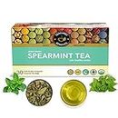 TEACURRY Spearmint Tea (1 Month Pack, 30 Tea Bags) - Helps with Women Health, Facial Hair and Relaxation | Vegan and Caffeine-Free|60 gram