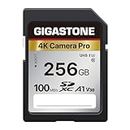 Gigastone - Tarjeta de Memoria SDXC de 256 GB, 4K Cámara Pro Serie, Velocidad de Transferencia de hasta 100 MB/s. Compatible con cámara Canon Nikon Sony Videocámara, A1 V30 UHS-I Clase 10 para 4K UHD