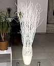 25 psc - White-Grey Birch Branches - 73 cm, Natural Birch Twigs, Pack of 20-25 Stems, Long for Floor vases, 29 inch