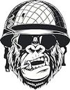 Cool Black and White Gorilla Monkey Soldier Cartoon Vinyl Decal Bumper Sticker (4" Tall)