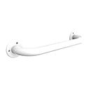 Agua Accessories Grab Rail Wall Mounted for Bathroom & Bedroom, Stainless Steel Disability Aids and Equipment, 300mm Safety Grab Bar 12-Year Guarantee