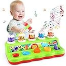 Yerloa Pop Up Toys for 1 Year Old, Baby Toys 12-18 Months, Musical Light Up Early Developmental Cause and Effect Toys for Toddlers 1-3, Interactive Animal Learning Toy, Gifts for Toddlers Girl & Boy
