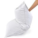 2 Pack White Goose Feather Bed Pillow - 600 Thread Count Egyptian Cotton, Medium Firm,Soft Support King Size,White Solid (King:2 Pillows)…