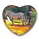 USA San DiegoSan Diego Zoo Fridge Magnets Sticker Kitchen Refrigerator Decoration Magnet Gift Heart Shape