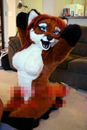 Halloween Female Fox Dog Fursuit Mascot Costume Furry Cosplay Fancy Dress Outfit