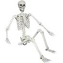 5.4ft Halloween Posable Skeleton Realistic Life Size Human Skeleton Bones with Movable Joints for Halloween Haunted House Indoor Outdoor Décor