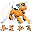 Dinopintu Smart Robot Dog Toys for Kids Voice Control Interactive Stunt Robots Pet, Programmable Robotic Toy for 3-5 6 7 8-10 Year Old Boy Creative Birthday Gift for Boys Age 3 4 5 6 7 8 9 10