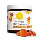 Cannaray CBD Gummies, 900mg | Regular Strength | Delicious Natural Orange | Vegan, THC-Free & GMO-Free (30 Gummies)