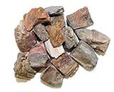 Raw Natural Rough Gemstones Bulk | Sold by The 1/2 Pound! Tumbling | POLISHING | Decor | Healing GEMS (Petrified Wood)