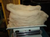 White Washed Texel Wool Roving -   Free Shipping