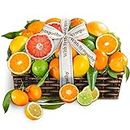 A Gift Inside Sympathy Sweet Sunshine Citrus Fruit Gift Basket