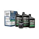 Polaris Full Synthetic Oil Change Kit, 2879323, 2.5 Quarts of PS-4 Engine Oil and 1 Oil Filter