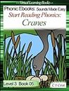 Start Reading Phonics 3.05 (ay/a-e/a/ai) Cranes (Childrens Learning To Read Picture Book) (Phonic Ebooks: Kids Learn To Read (Childrens Young Readers Level 3))