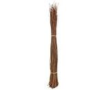 bambus-discount.com Salice Naturale con Una Altezza di 160 cm, Diametro ca. 10 – 15 cm