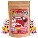Canadian Wildflower Seed Mix – 19 Varieties of Annual & Perennial Flower Seeds for Planting Canada - Non-GMO Bird Butterfly Bees – Wild Flower Seed