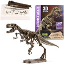 Dinosaur Fossil Digging Kit Kids, Dino Fossil Dig Kit Paleontology and Archeolog