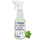 Mighty Mint All-Purpose Cleaner, Non-Toxic Spray for Home, Kitchen, Bathroom, Natural Peppermint Scent, 16oz