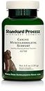Standard Process - Canine Musculoskeletal Support - 4.2 Oz
