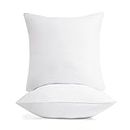 Deconovo Euro Pillows 26x26 Set of 2, Square Sham Insert for Bed Couch Sofa, Premium Cushion Throw Pillow Stuffer Fluffy Plump, Decorative Indoor Outdoor Polyester Pillow Inserts/Fillers