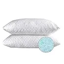 NTCOCO 2 Pillows, Shredded Memory Foam Bed Pillows for Sleeping, with Washable Removable Cooling Hypoallergenic Sleep Pillow for Back and Side Sleeper, Queen (2-Pack)
