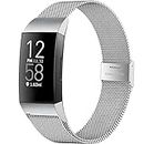 GEAK Compatible with Fitbit Charge 3 Bands/Fitbit Charge 4 Bands Metal, Mesh Loop Magnetic Adjustable Stainless Steel Replacement Accessories Wristband for Women Men, Large Silver