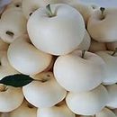 GreenPoint Rare Exotic White Apple live Plant (Grafted) "Thailand Variety"(Fruit After 1 Year) Pack of 1