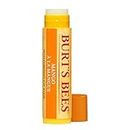 Burt's Bees Lip Balm Mango, Moisturising Lip Balm With Beeswax & Vitamin E, 100% Natural Origin, 4.25g