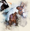 Personalized Custom Horse Gifts, Make a Great Equestrian Gift or Horse Memorial 