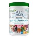 Genuine Health Fermented Organic Gut Superfoods Powder, Summer berry Flavour, Vegan Fibre Supplement for Better Digestion, Prebiotic, 273g