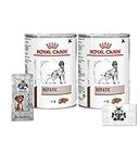 AETN Creations Hepatic Adult Dog Food Pack 2x420g Wet Food in Loaf Support Your Canine Companion's Liver Health Comes with AETN Chicken Jerky Dog Treat