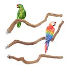 Pappagallo persico rami arrampicata per uccellini supporto palo accessori gabbia per uccellini GB