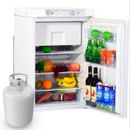 3.5 Cu.Ft Propane Gas Refrigerator 12V RV Mini Fridge with Freezer Camper Cooler