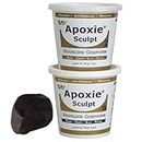 Apoxie Sculpt 1 Lb Argile Epoxy - Noir