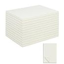 suituts 12 Pack 5.5X8.5 Inch Memo Pads - Scratch Pads - Writing Pads, Blank Note Pads Bulk for Office, School, Business Work (All Memo Pads Total 1200 Sheets)