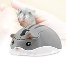 elec Space Wireless Mouse 2.4Ghz Hamster Shape Cute Animal Design Silent Click USB Optical Mouse Cordless Mice Lightweight for Kids Girl Gift for PC/Laptop/Computer/MacBook(Gray)
