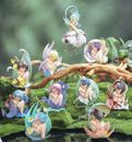 Figura confirmada caja ciega de 52 juguetes serie Fairy Girl flor del sueño