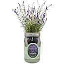 Environet Hydroponic Herb Growing Kit, Self-Watering Mason Jar Herb Garden Starter Kit Indoor, Windowsill Herb Garden, Grow Your Own Herbs from Organic Seeds (Lavender)