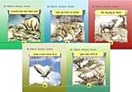 Animal Folk Tales from Around the World (Set of 5 Books)