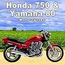 Honda 750 Motorcycle Side Kickstand Put Down & Rests on Pavement
