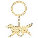DOWAY Cute Stainless Steel Dog Mom Gifts Dog Keychain Ring 18K Gold Pet Accessories For Women Girls Dog Lovers Car Key Charms (Golden Retriever Gold Plated)