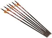Ravin Crossbows R138 Archery Crossbow Carbon Arrows