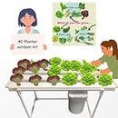 City Greens 40 Planter Outdoor Hydroponic Kit for Home, Garden, Small Balconies,Outdoor, and Office Spaces - Smart Farming.
